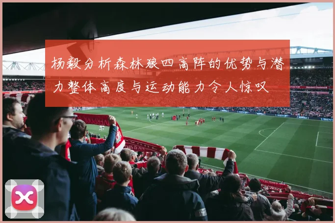 杨毅分析森林狼四高阵的优势与潜力整体高度与运动能力令人惊叹