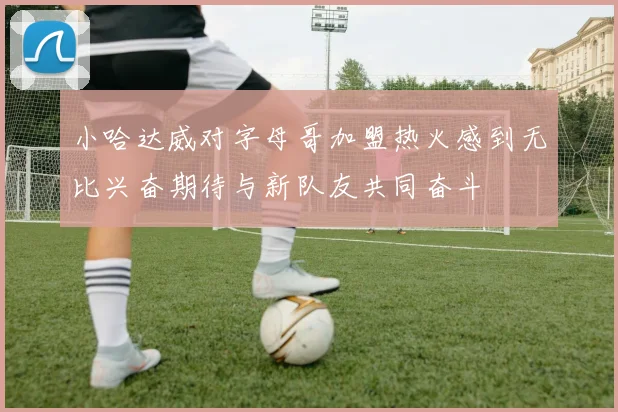 小哈达威对字母哥加盟热火感到无比兴奋期待与新队友共同奋斗